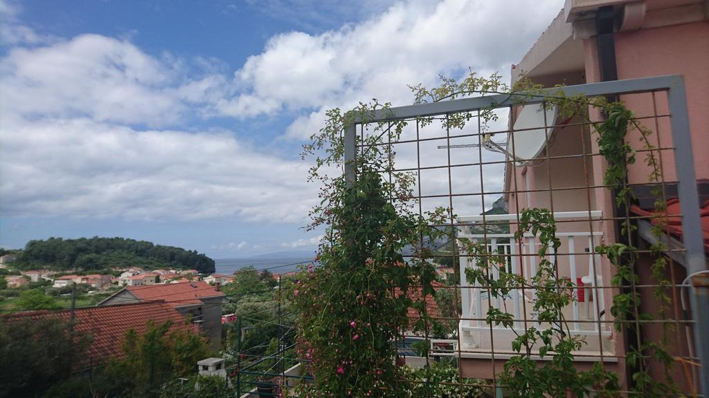 Apartments Leko Žuljana エクステリア 写真